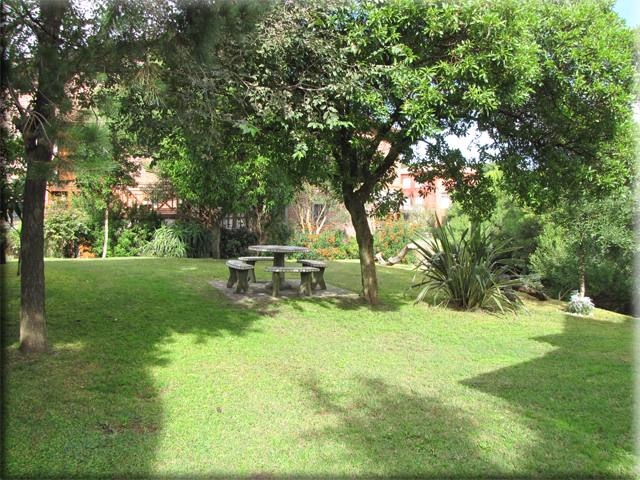Parque con césped, árboles y mesa de piedra